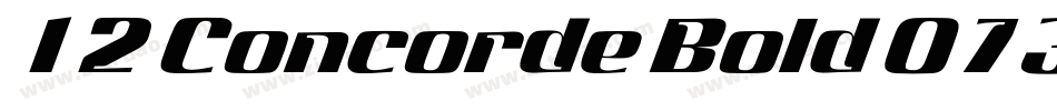 12 Concorde Bold 07319字体转换